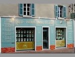 Photo SUD ISERE IMMOBILIER