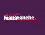 MANARANCHE IMMOBILIER ARLÉSIENNE DE GESTION