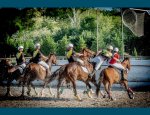 Photo CENTRE EQUESTRE DU MAS DE COURNON