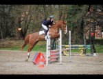 Photo CLUB HIPPIQUE ECKBOLSHEIM