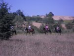 Photo FERME EQUESTRE A SHIBAU