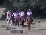 FERME EQUESTRE A SHIBAU
