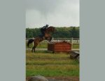 Photo CENTRE EQUESTRE DE MERIEL