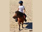 Photo CENTRE EQUESTRE - PONEY CLUB DE LA FORGE