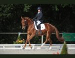 Photo CENTRE EQUESTRE - PONEY CLUB DE LA FORGE
