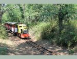 Photo P'TIT TRAIN DE SAINT TROJAN
