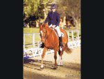 Photo CENTRE EQUESTRE D'AMELIE