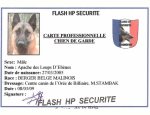 Photo FLASH SECURITE