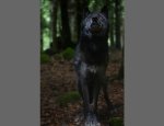 Photo MAISON DES LOUPS