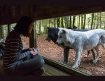 Photo MAISON DES LOUPS