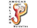 ASSOCIATION AMOCAS