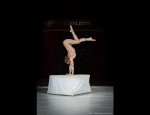 Photo CIRQUE MICHELETTY