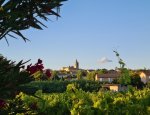 Photo OFFICE DE TOURISME DRÔME SUD PROVENCE