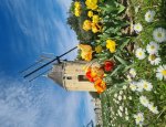 Photo OFFICE DE TOURISME DRÔME SUD PROVENCE