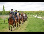 CENTRE EQUESTRE DU PLESSIS BOUCHARD