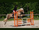 Photo CENTRE EQUESTRE DE MAURECOURT