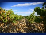 Photo DOMAINE SAINTE LEOCADIE
