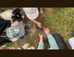 Photo MICRO CRECHE MELI MELO