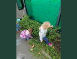 Photo MICRO CRECHE MELI MELO