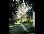 Photo CHIENS AU VERT66 MARIE ANDREE OLLIVIER