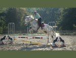 CENTRE EQUESTRE DES ECURIES DE LA COUR DU