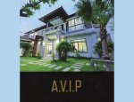 A.V.I.P
