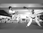 Photo TAE KWON DO PARIS 13EME CLUB DOJANG