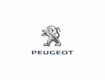 Photo ATELIER 16 PEUGEOT