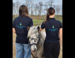 Photo CENTRE EQUESTRE SAGIEN