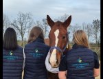 Photo CENTRE EQUESTRE SAGIEN