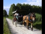 Photo LES ATTELAGES DU VAL DE SEUGNE