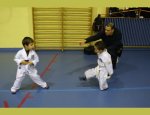 Photo TAEKWONDO VENISSIEUX