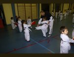 Photo TAEKWONDO VENISSIEUX