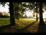 Photo GOLF ORLEANS DONNERY