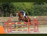 Photo ESPACE EQUESTRE DE CHANGE LES LAVAL