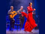 Photo LE STUDIO FLAMENCO DE BORDEAUX