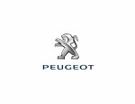 Photo PEUGEOT VINCEY AUTO