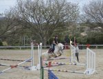Photo CENTRE EQUESTRE D'OLLIOULES