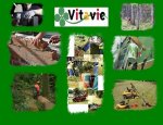 Photo ASSOCIATION VITAVIE