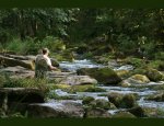 Photo FEDERATION DEPARTEMENTALE ORNE PECHE PROTECTION MILIEU AQUATIQUE