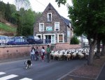 Photo LES HAUTES PIERRES
