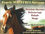 EARL MAESTRIA EQUITATION