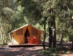 Photo CAMPING LA CAMPIERE
