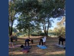FLOW NATHA YOGA