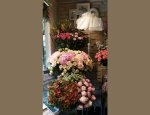 Photo L'ATELIER FLORAL