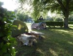 CAMPING LE SAILLET