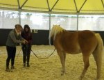 Photo FED NATIONALE DE THERAPIE AVEC LE CHEVAL