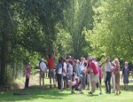 Photo CAMPING A L'OREE DU BOIS DE MONTALAN
