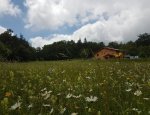 Photo LE GRAND ECHAILLON