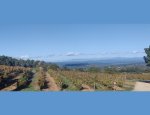 Photo DOMAINE DU DEFFENDS